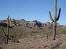photo thumbnail #4