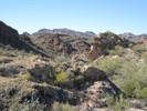 photo thumbnail #1