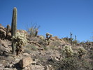 photo thumbnail #3