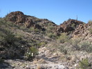 photo thumbnail #4