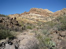 photo thumbnail #7