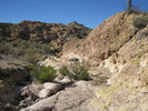 photo thumbnail #8