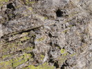 photo thumbnail #10