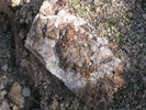 photo thumbnail #12