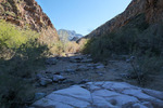 photo thumbnail #14