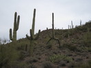 photo thumbnail #1