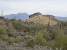 photo thumbnail #3