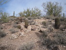 photo thumbnail #7