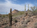 photo thumbnail #8
