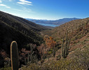photo thumbnail #5