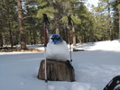 photo thumbnail #8