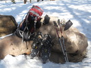 photo thumbnail #9