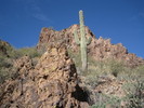 photo thumbnail #2