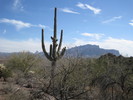 photo thumbnail #4