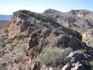 photo thumbnail #8