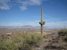 photo thumbnail #10