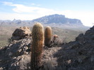 photo thumbnail #11