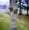 photo thumbnail #14