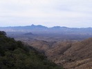 photo thumbnail #3