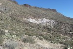 photo thumbnail #7