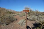 photo thumbnail #10