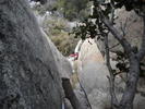 photo thumbnail #8