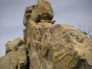 photo thumbnail #13