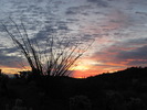 photo thumbnail #1