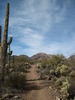 photo thumbnail #6
