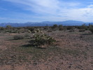photo thumbnail #10