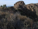photo thumbnail #2