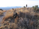 photo thumbnail #3