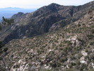 photo thumbnail #4
