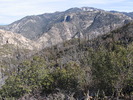 photo thumbnail #6