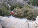 photo thumbnail #12