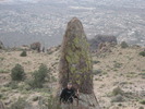 photo thumbnail #6