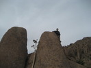 photo thumbnail #8
