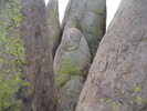 photo thumbnail #9