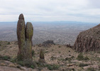 photo thumbnail #12