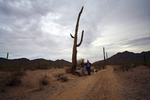 photo thumbnail #1