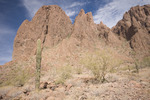 photo thumbnail #8