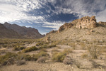 photo thumbnail #4