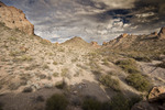 photo thumbnail #6