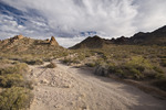 photo thumbnail #7