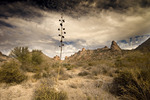 photo thumbnail #8