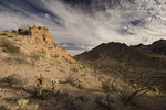 photo thumbnail #9