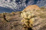 photo thumbnail #12