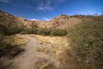 photo thumbnail #15
