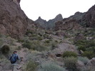 photo thumbnail #4