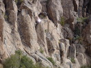 photo thumbnail #15
